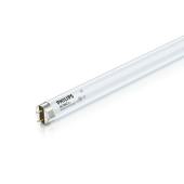  Actinic BL TL 6W/10 1FM/10X25C 