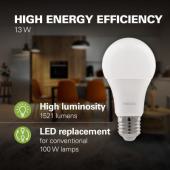  MAZDA lampe LED Bulb E27 13-10 