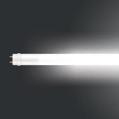  MAZDA tube LED T8 1200mm  15,5 