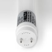  MAZDA tube LED T8 1200mm  15,5 