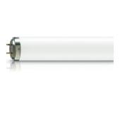  TL 100W/10-R 