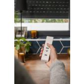  T�l�commande Situor 5 canaux b 